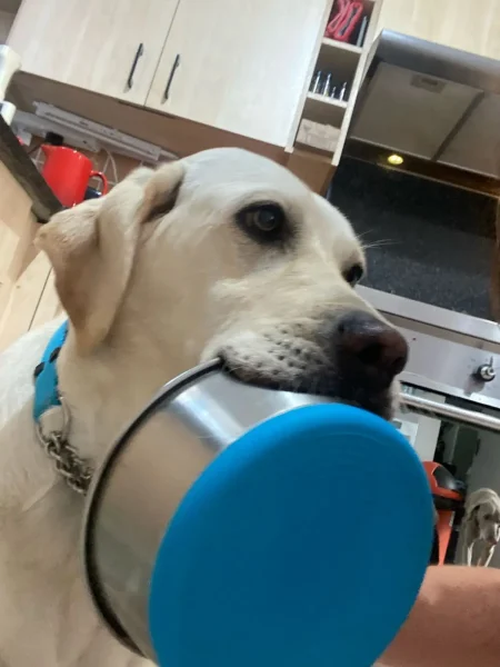 02ddb28a-daaf-4e8c-88d3-819e7a4db968